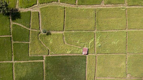 Roof-Inspections-600 Drone Photography for Agriculture